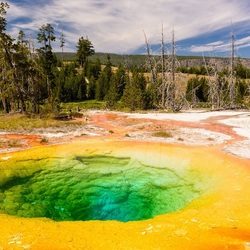 Пазл: Необычное рядом