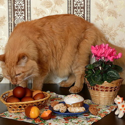 Пазл: Пасхальный котонатюрморт