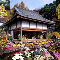 Пазл: Кику-нингё