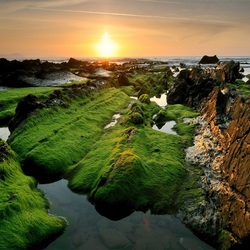 Пазл: Зеленый берег моря