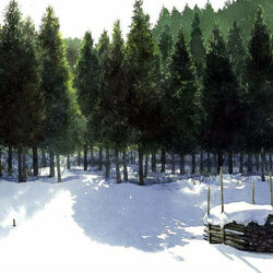 Пазл: Солнечный, зимний день