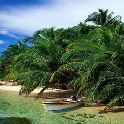 Пазл: Лодка в пальмах