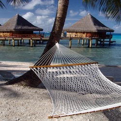 Пазл: Отдых в тропиках