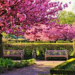 Пазл: Весенний парк