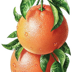 Пазл: Апельсины