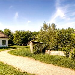 Пазл: Украинская деревня