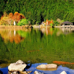 Пазл: Красоты природы