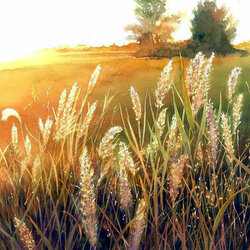 Пазл: Летний вечер