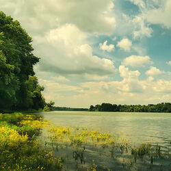 Пазл: Тихое утро