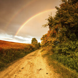 Пазл: Природа