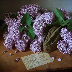 Пазл: Сирень Победы