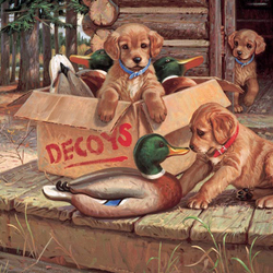 Пазл: Разные приманки