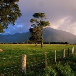 Пазл: Заповедник