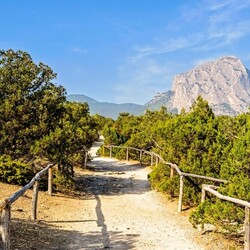 Пазл: Голицынская тропа