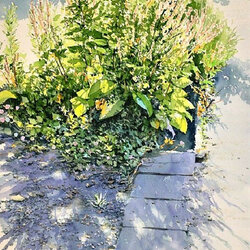 Пазл: Трава на дороге