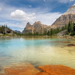 Пазл: Водоем