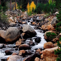 Пазл: Речка в лесу