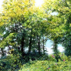 Пазл: Летний,солнечный день