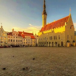 Пазл: Утренний Таллин