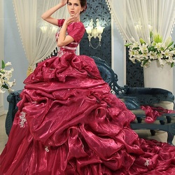 Пазл: Шикарное платье