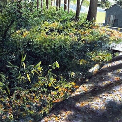 Пазл: За домом