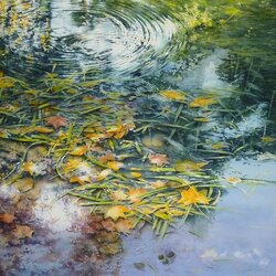 Пазл: Листья на воде