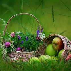 Пазл: На лужайке