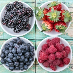 Пазл: Ягоды 