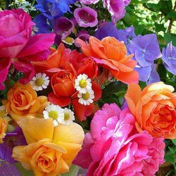 Пазл: Яркие краски лета