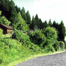 Пазл: По дороге