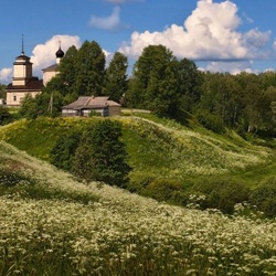 Пазл: Городище Воронич, Пушкиногорье 