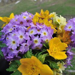 Пазл: Запах лета