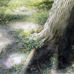 Пазл: Ствол дерева