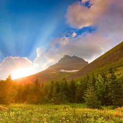 Пазл: Летний день