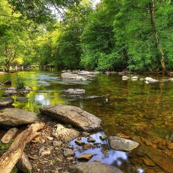 Пазл: Речка