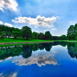 Пазл: Водоем