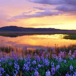 Пазл: Красоты природы