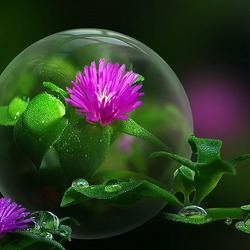 Пазл: Мир в капле дождя