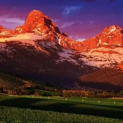 Пазл: Поле около гор