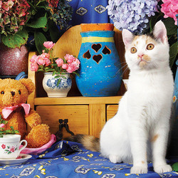 Пазл: Натюрморт с кошкой