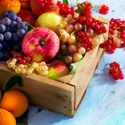 Пазл: Летние радости