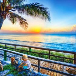 Пазл: Конец дня