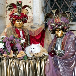 Пазл: Венецианский карнавал
