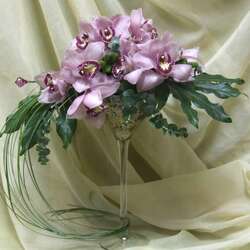 Пазл:  Орхидеи