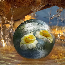 Пазл: В капле воды