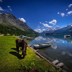 Пазл: Лодки