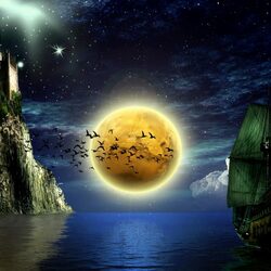 Пазл: Лунная ночь