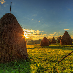 Пазл: Стога сена
