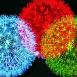 Пазл: Одуванчики