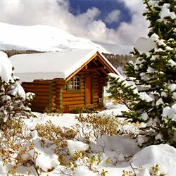 Пазл: Домик в зимнем лесу